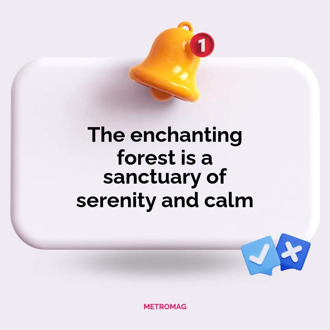 The enchanting forest is a sanctuary of serenity and calm