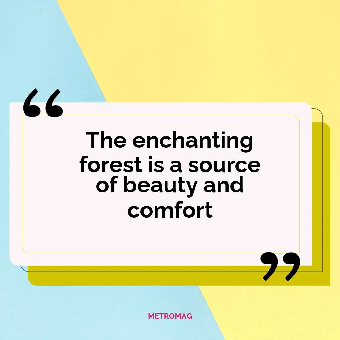 The enchanting forest is a source of beauty and comfort