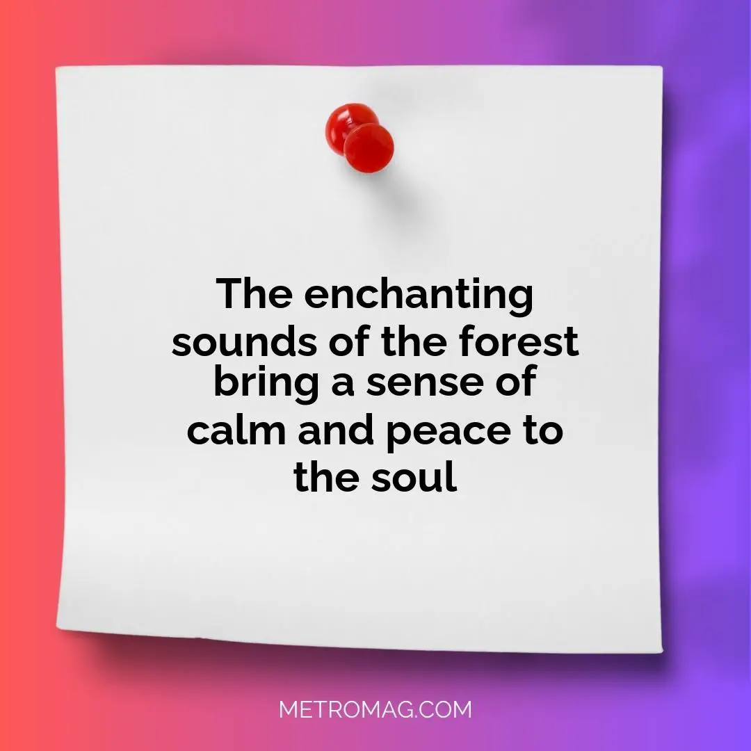 The enchanting sounds of the forest bring a sense of calm and peace to the soul