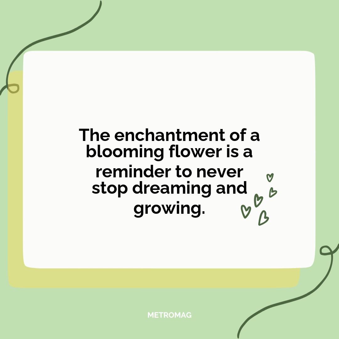 The enchantment of a blooming flower is a reminder to never stop dreaming and growing.
