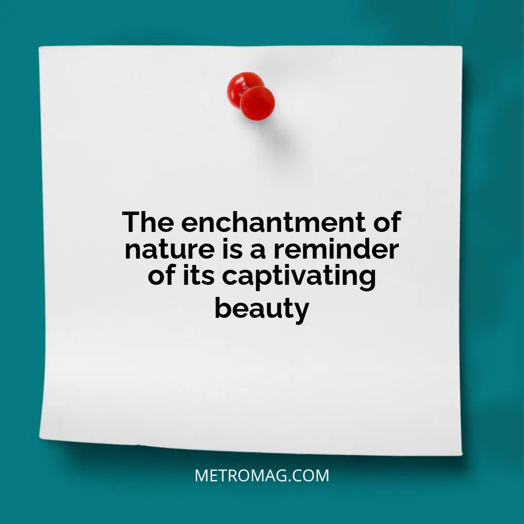 The enchantment of nature is a reminder of its captivating beauty