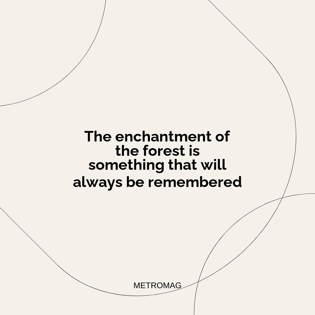 The enchantment of the forest is something that will always be remembered