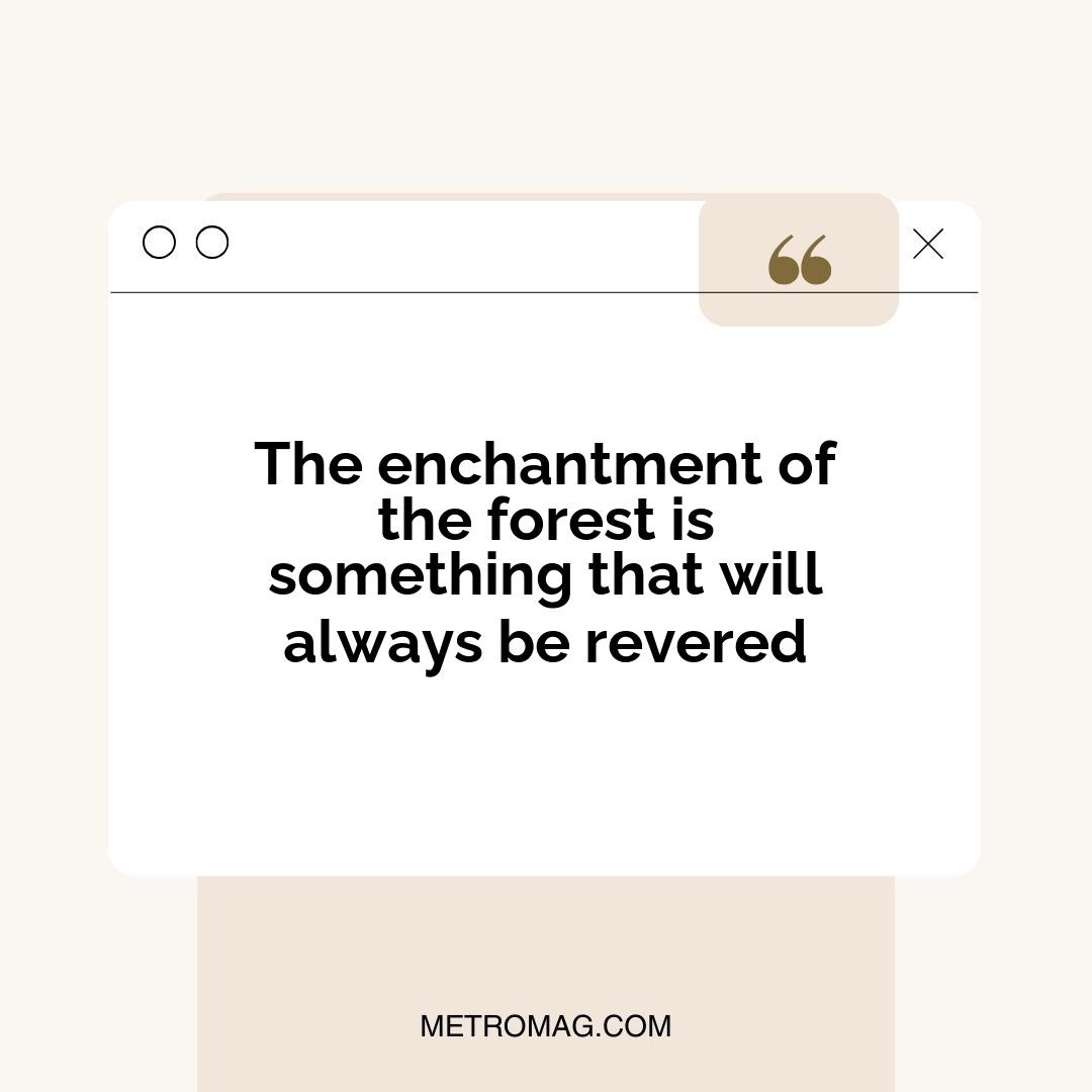 The enchantment of the forest is something that will always be revered