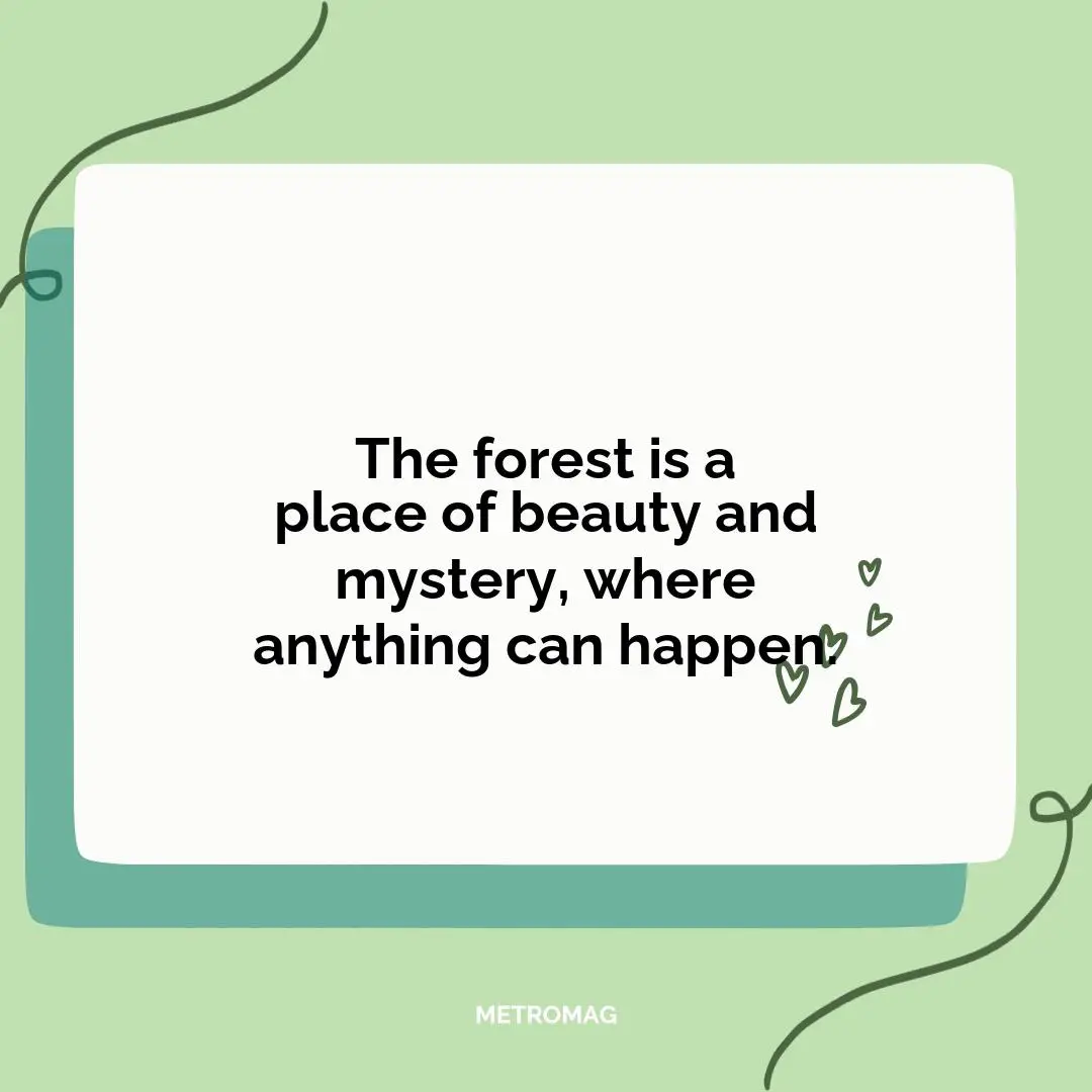 The forest is a place of beauty and mystery, where anything can happen.