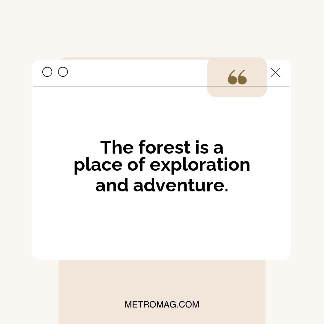 The forest is a place of exploration and adventure.