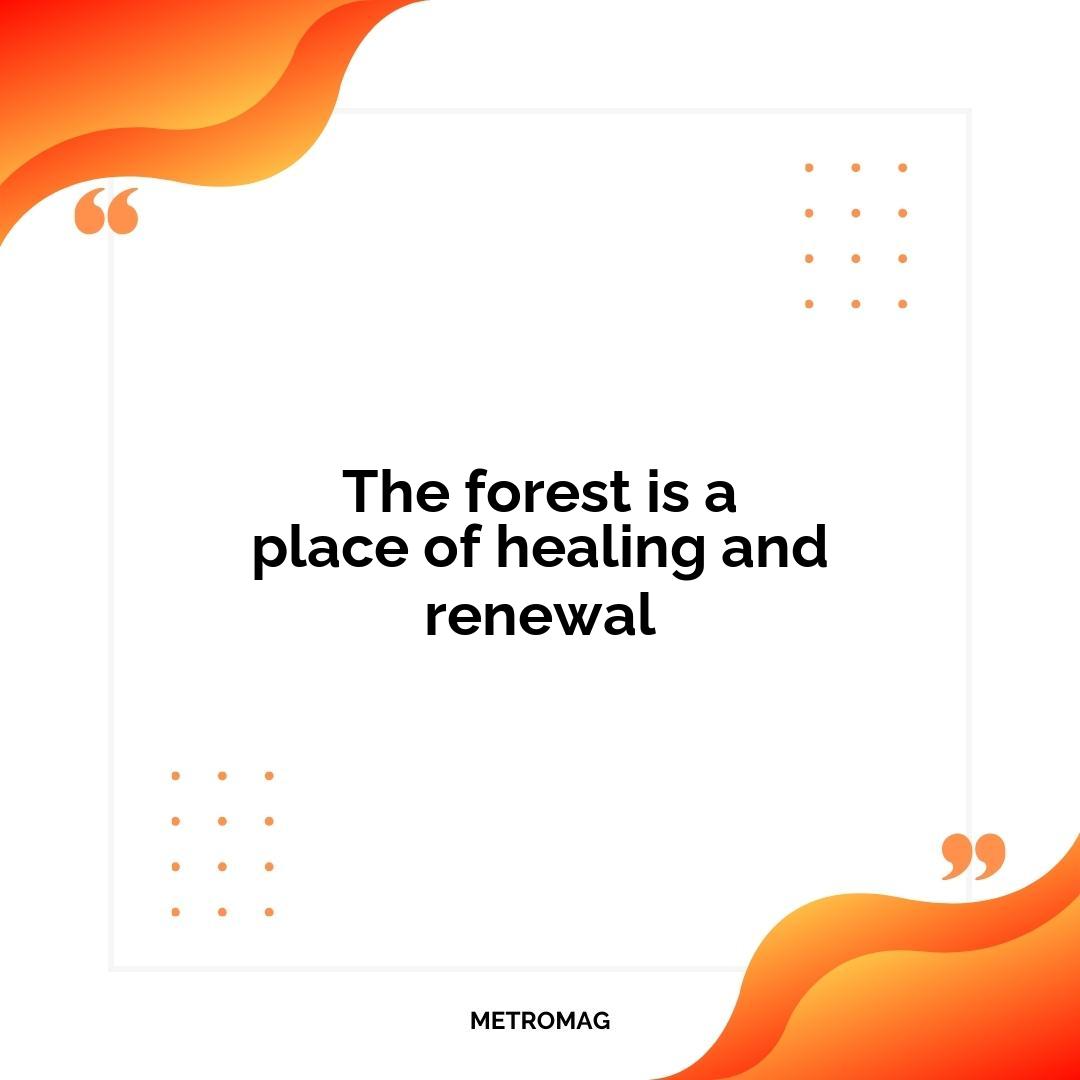 The forest is a place of healing and renewal
