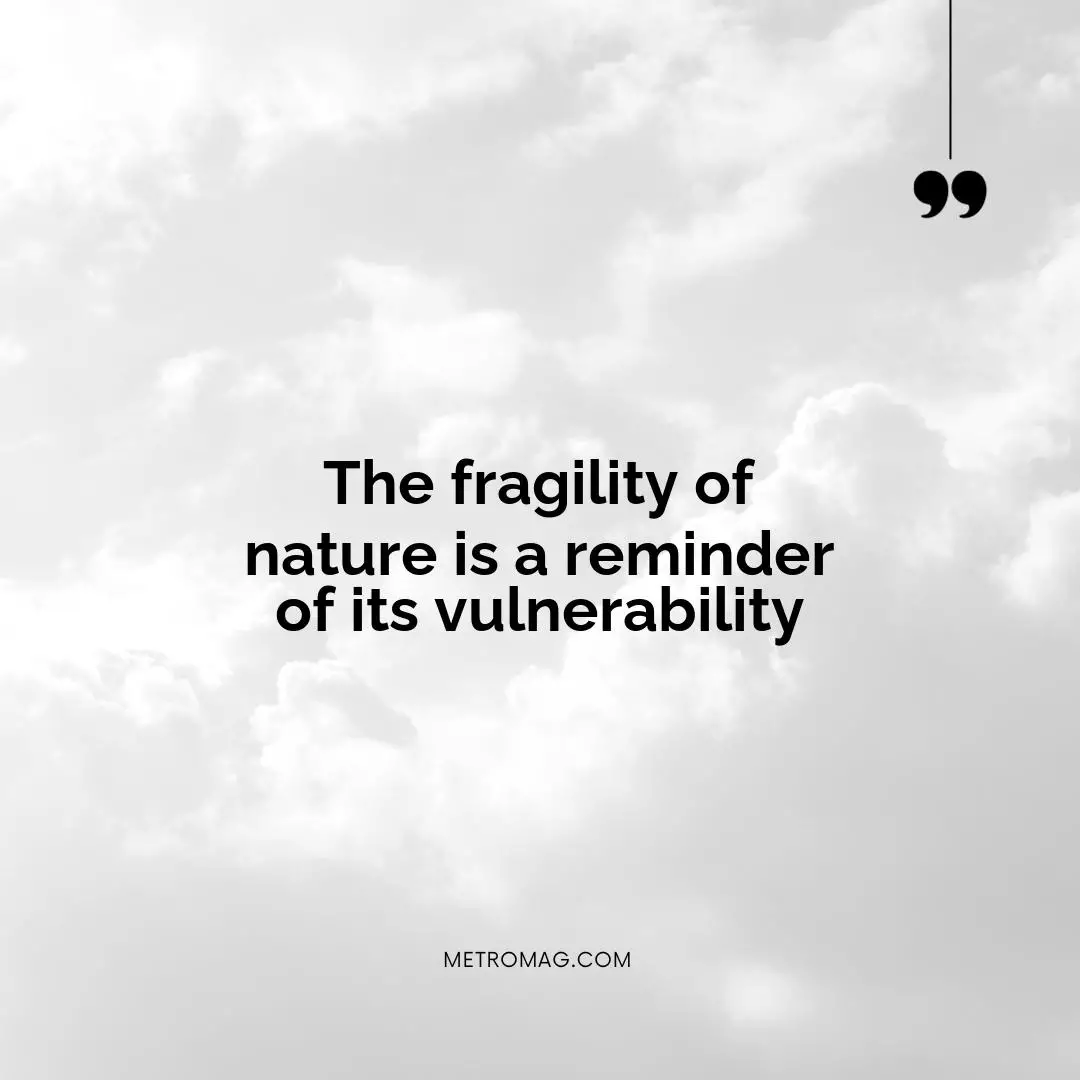 The fragility of nature is a reminder of its vulnerability