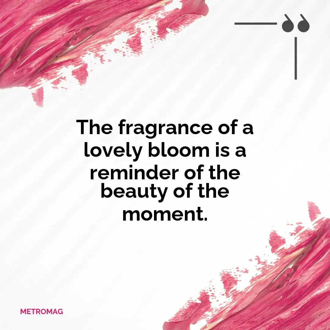 The fragrance of a lovely bloom is a reminder of the beauty of the moment.