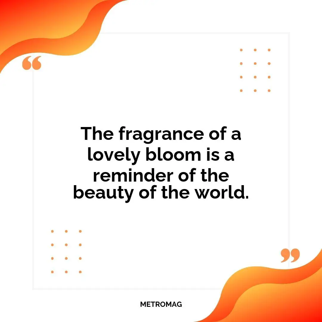 The fragrance of a lovely bloom is a reminder of the beauty of the world.