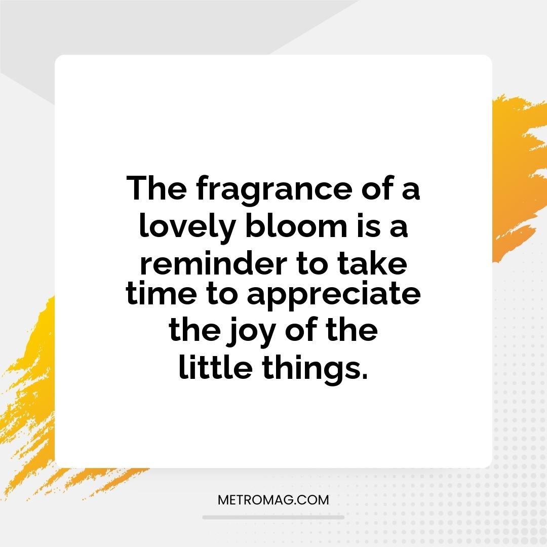 The fragrance of a lovely bloom is a reminder to take time to appreciate the joy of the little things.