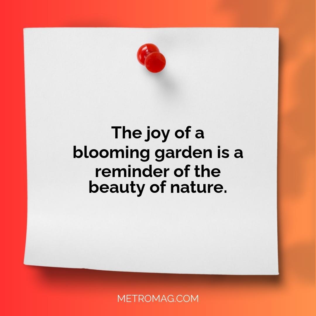 The joy of a blooming garden is a reminder of the beauty of nature.