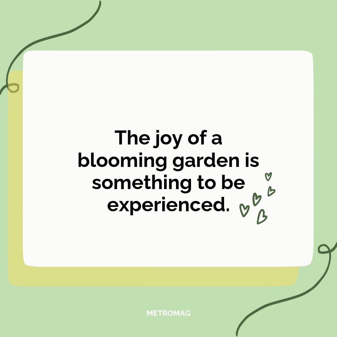 The joy of a blooming garden is something to be experienced.