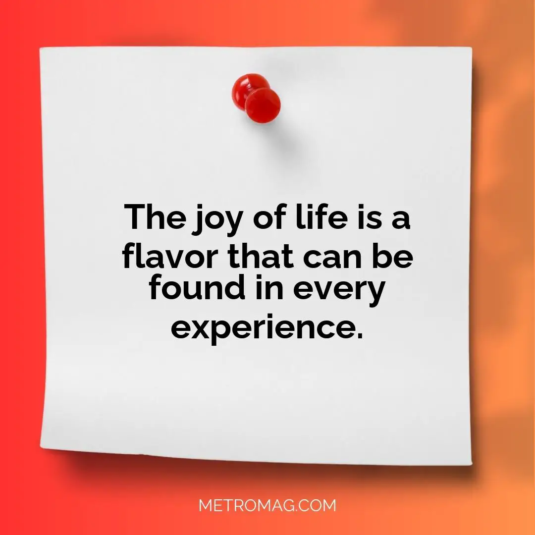 The joy of life is a flavor that can be found in every experience.