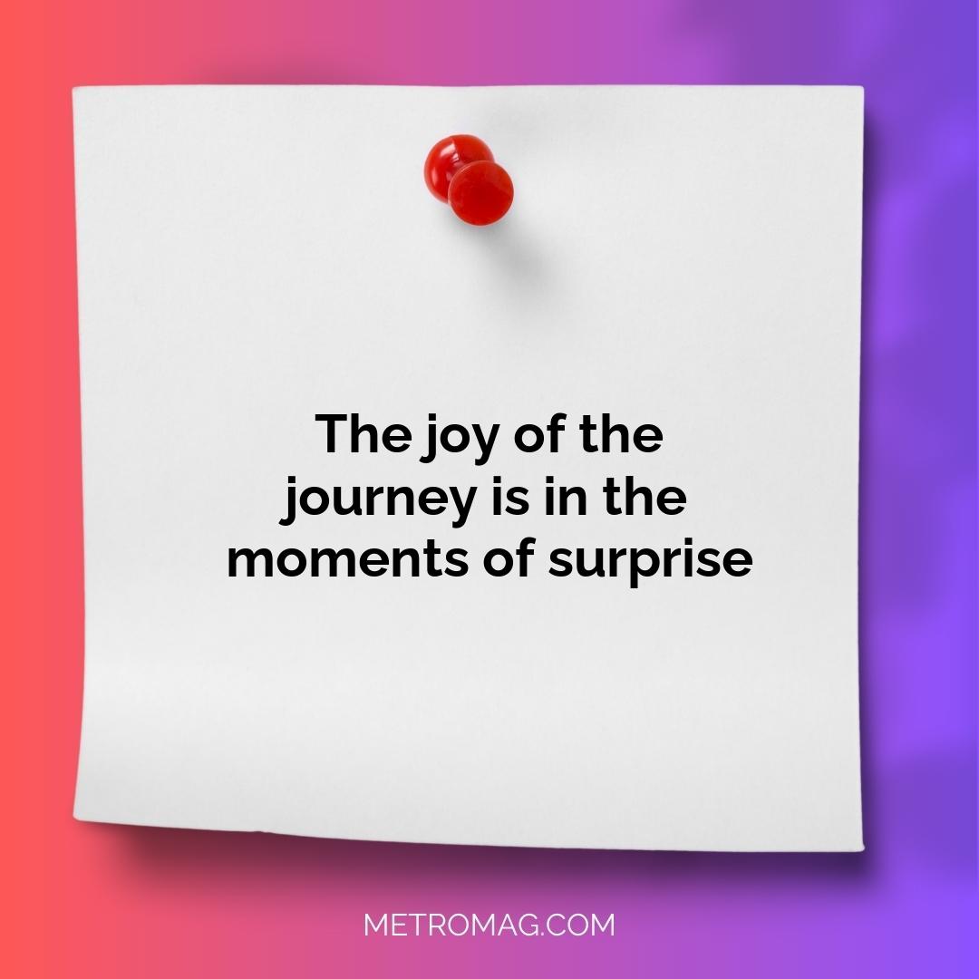 The joy of the journey is in the moments of surprise
