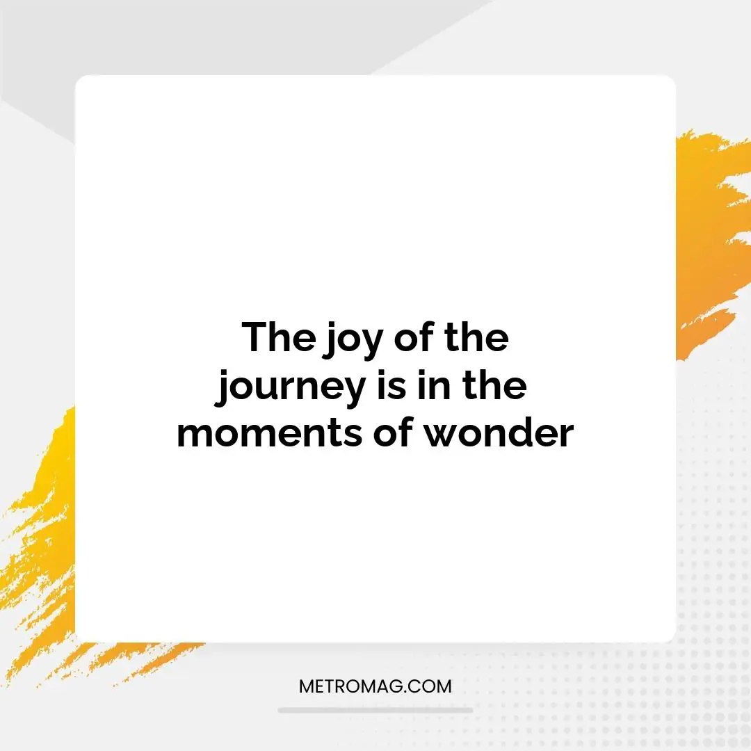 The joy of the journey is in the moments of wonder