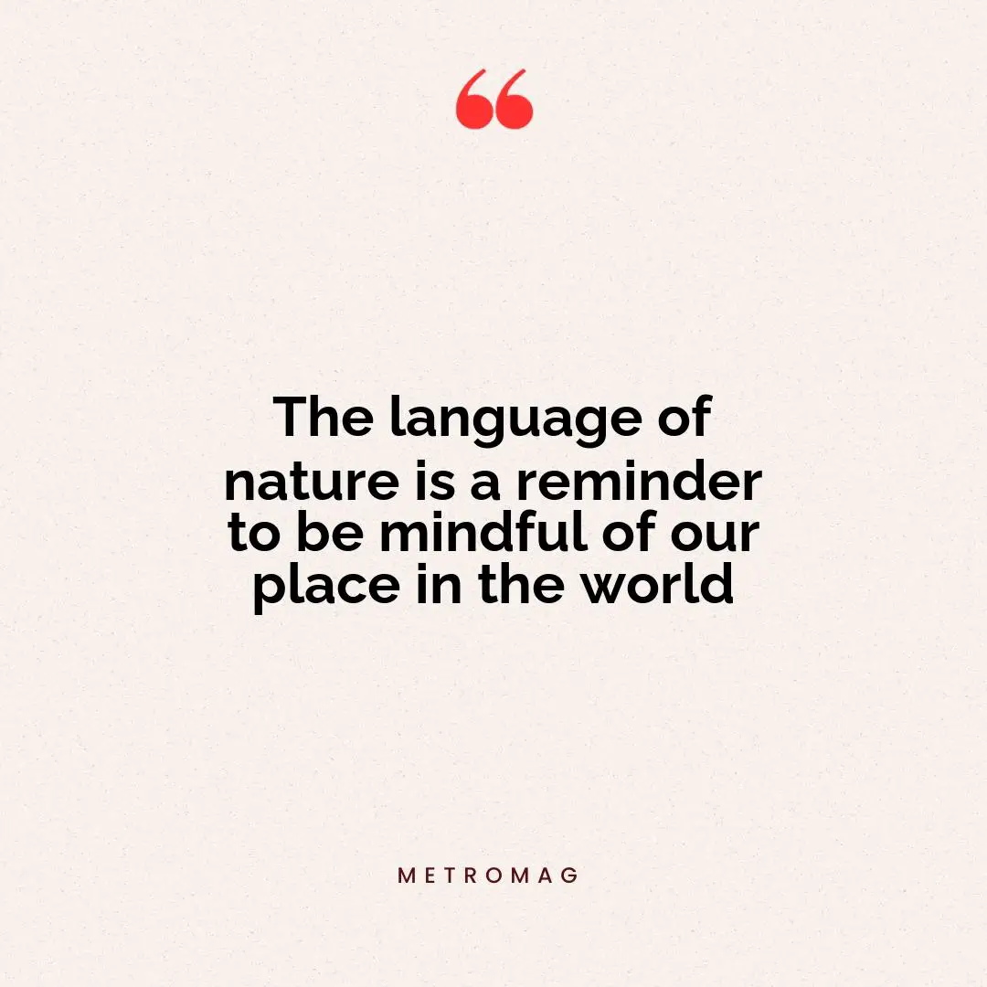 The language of nature is a reminder to be mindful of our place in the world