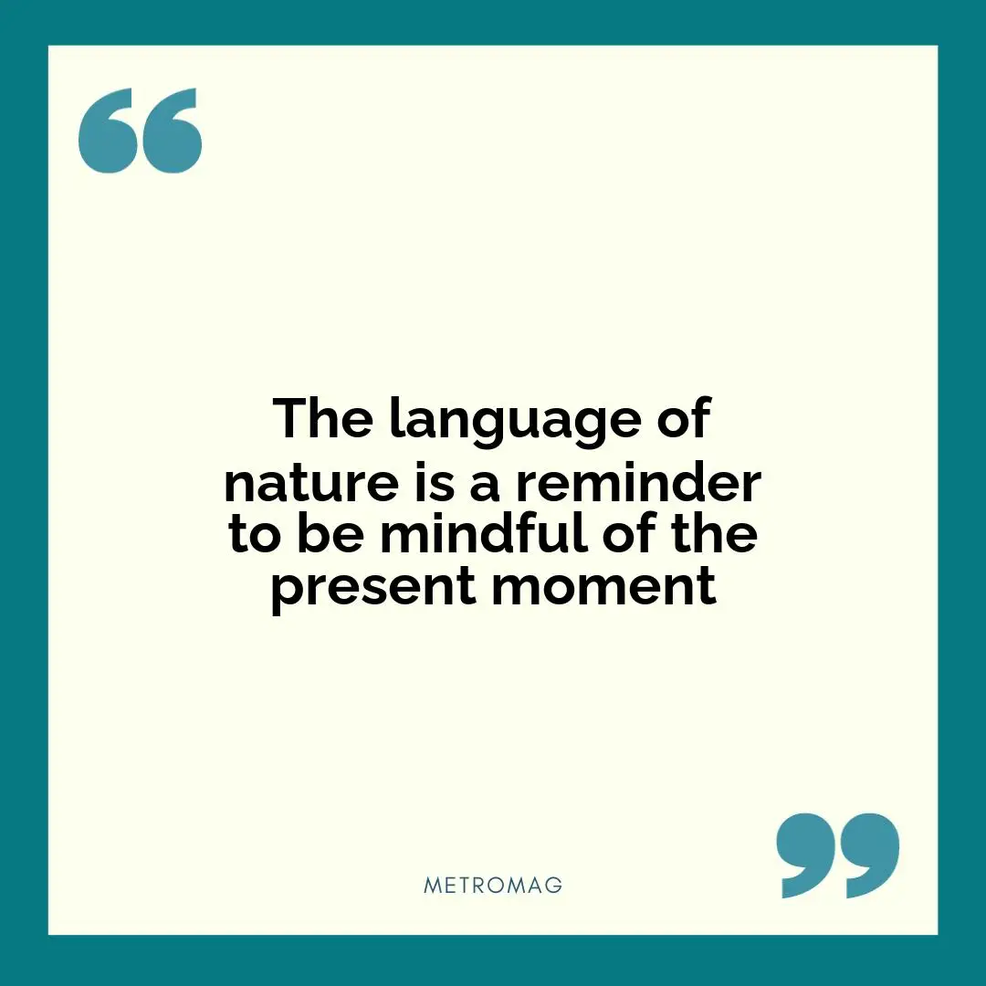 The language of nature is a reminder to be mindful of the present moment