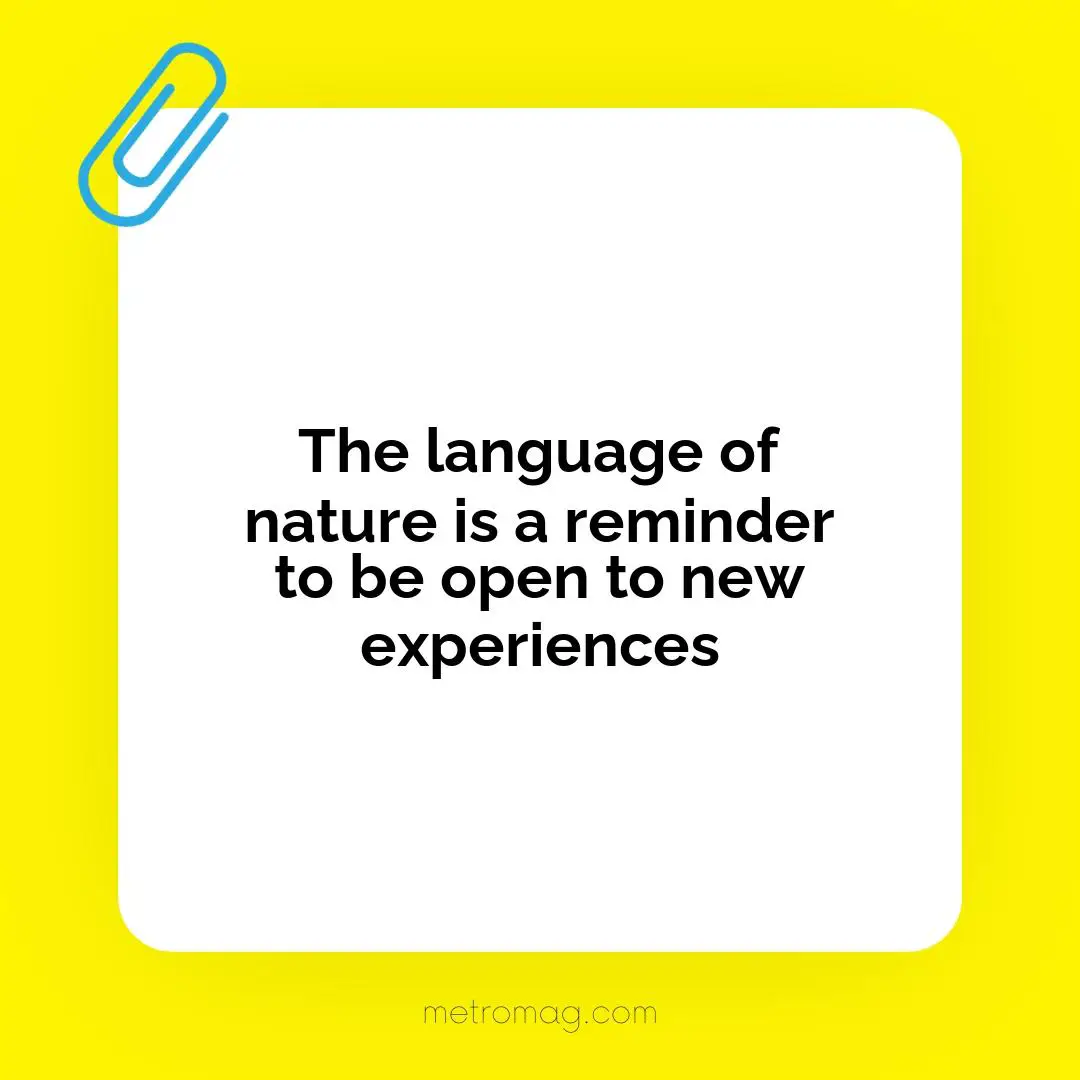 The language of nature is a reminder to be open to new experiences