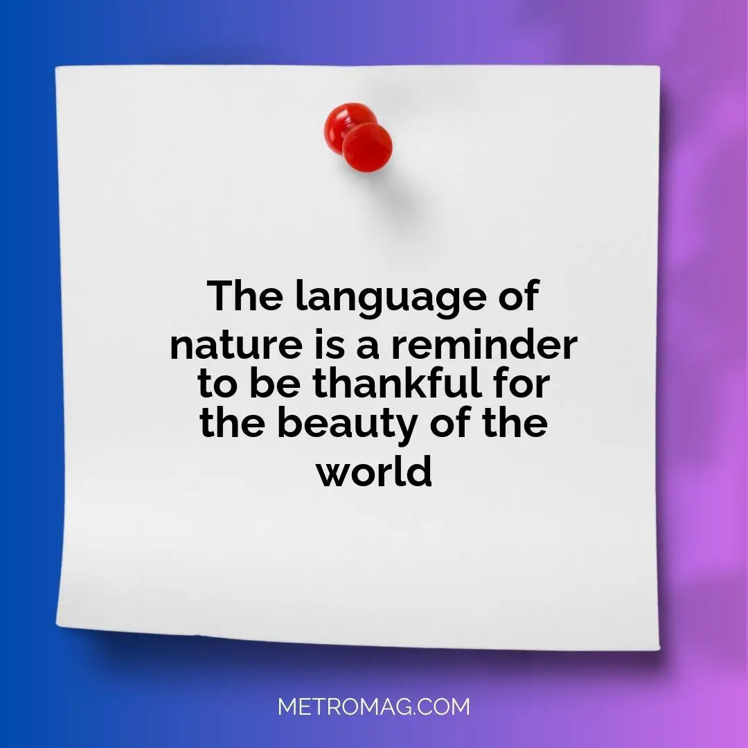 The language of nature is a reminder to be thankful for the beauty of the world