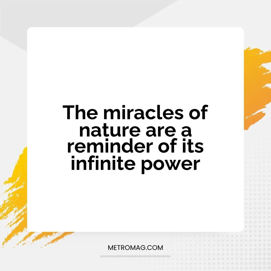 The miracles of nature are a reminder of its infinite power