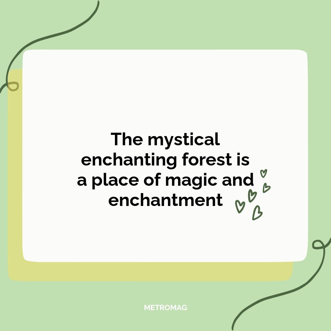 The mystical enchanting forest is a place of magic and enchantment