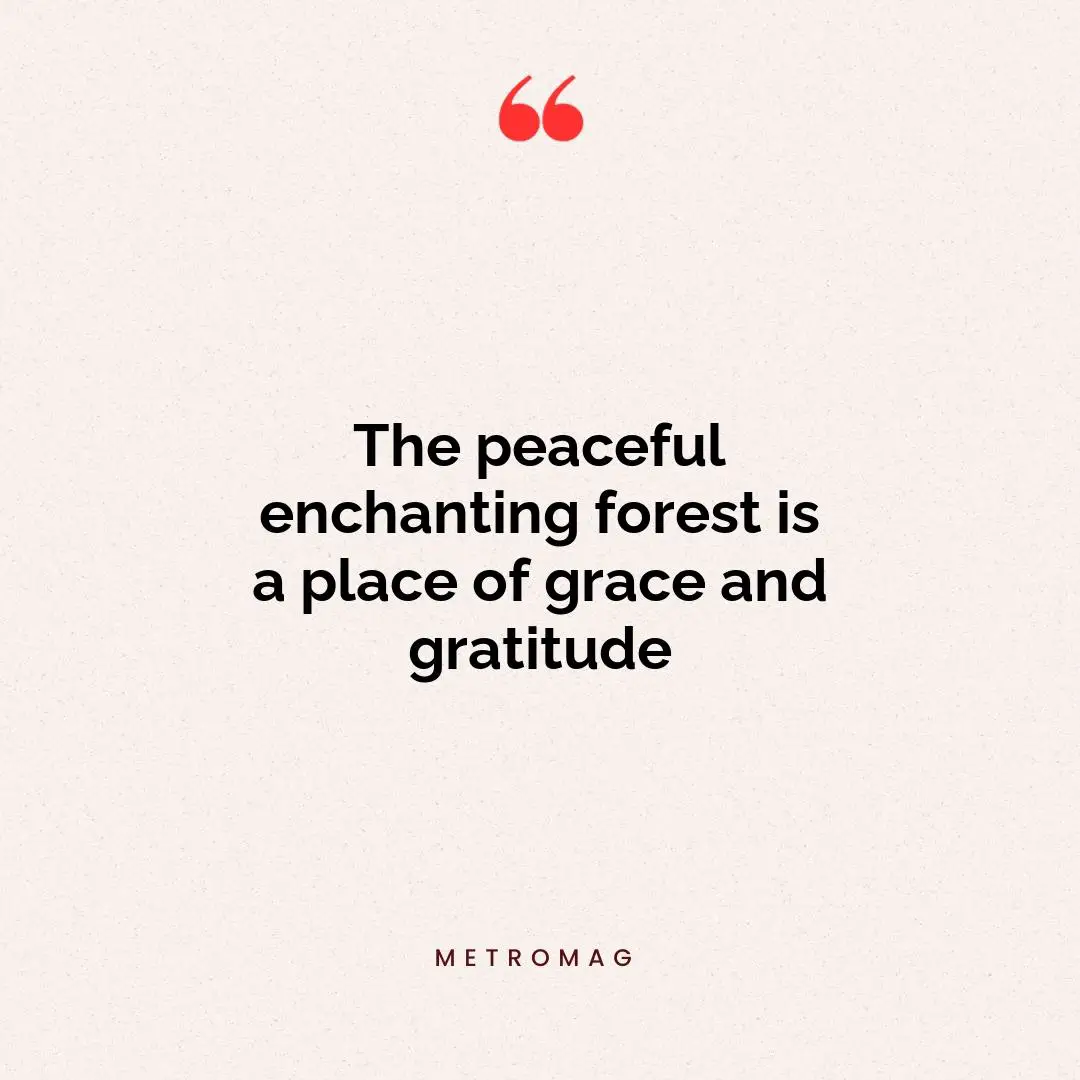 The peaceful enchanting forest is a place of grace and gratitude