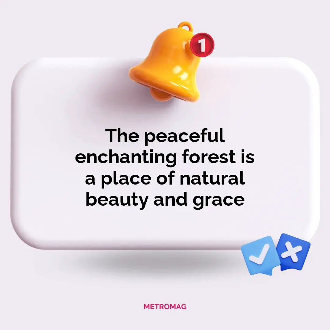 The peaceful enchanting forest is a place of natural beauty and grace