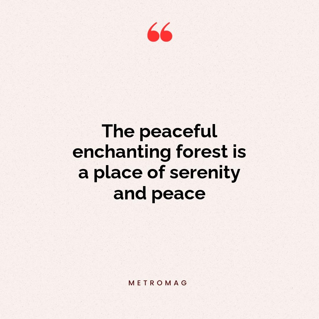 The peaceful enchanting forest is a place of serenity and peace