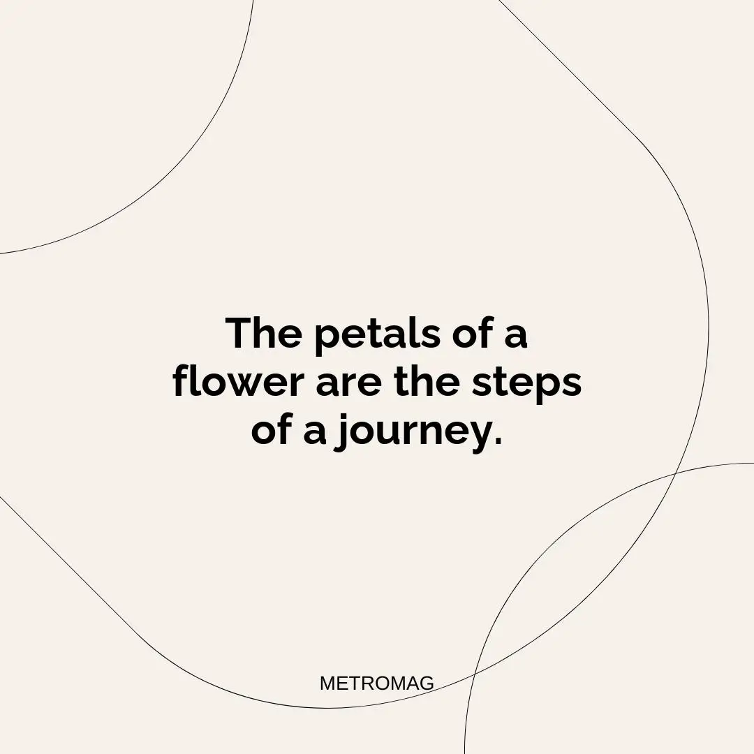 The petals of a flower are the steps of a journey.