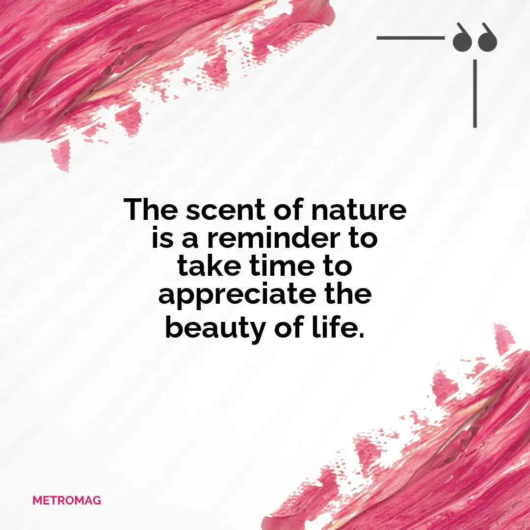 The scent of nature is a reminder to take time to appreciate the beauty of life.
