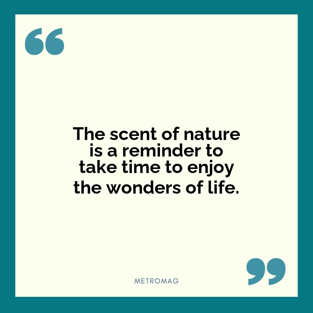 The scent of nature is a reminder to take time to enjoy the wonders of life.