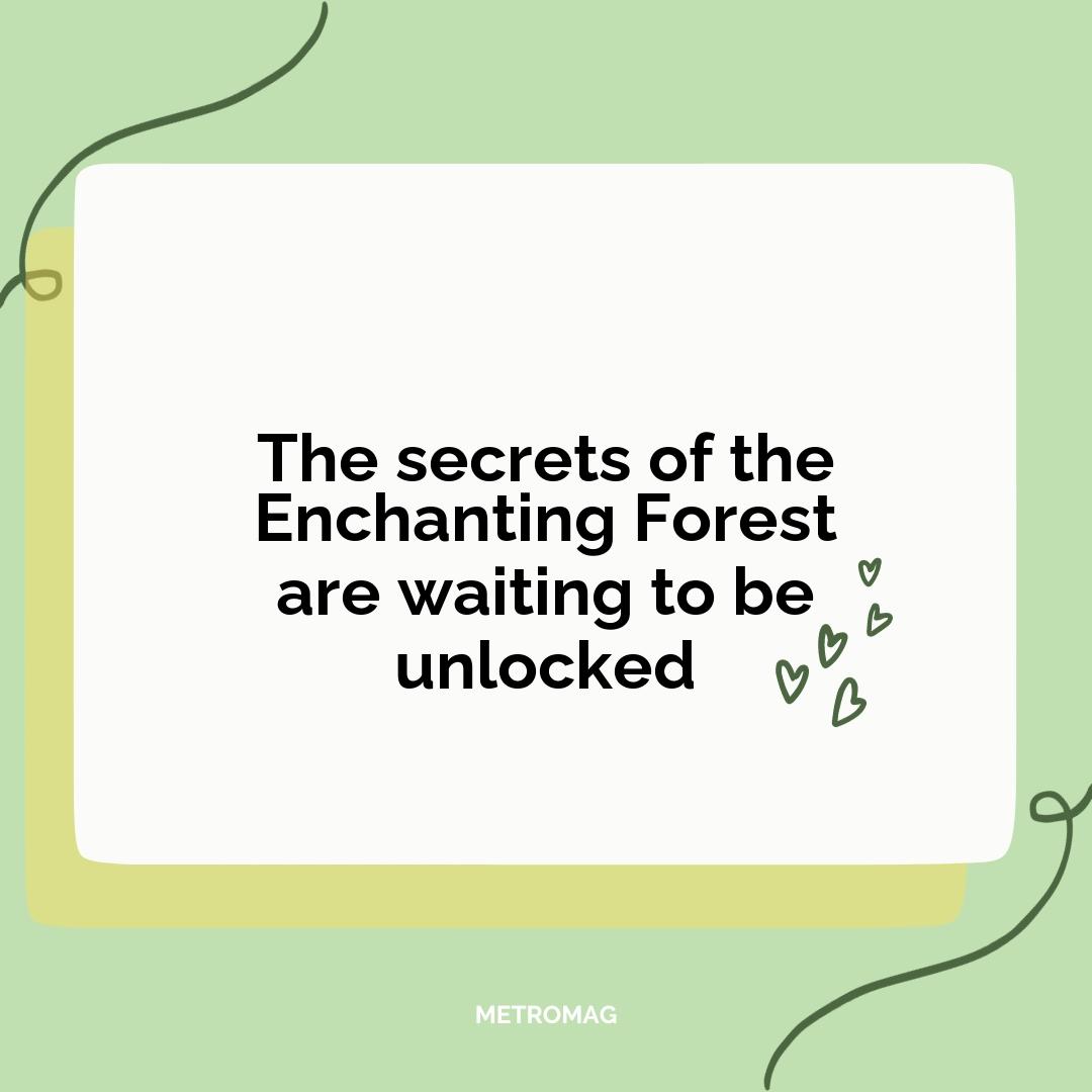The secrets of the Enchanting Forest are waiting to be unlocked