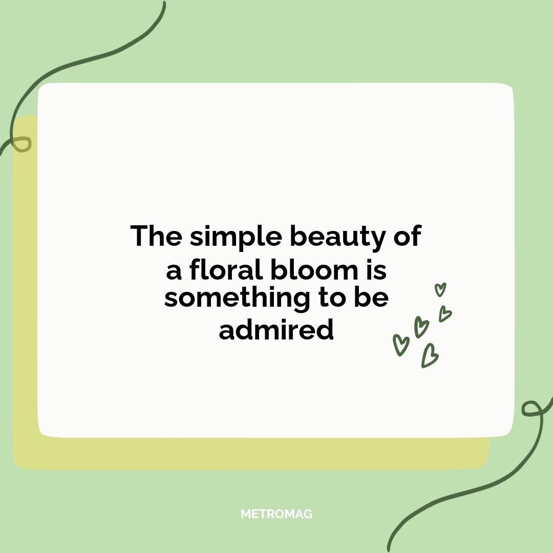 The simple beauty of a floral bloom is something to be admired