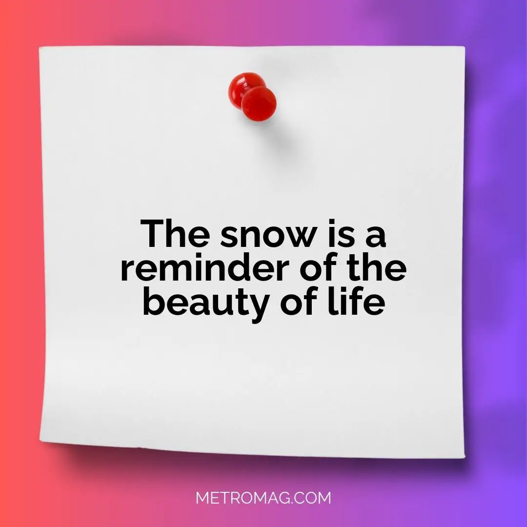 The snow is a reminder of the beauty of life