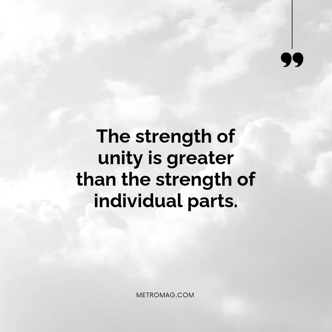 The strength of unity is greater than the strength of individual parts.