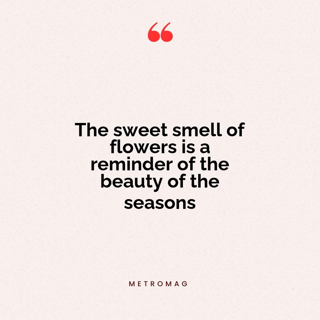 The sweet smell of flowers is a reminder of the beauty of the seasons