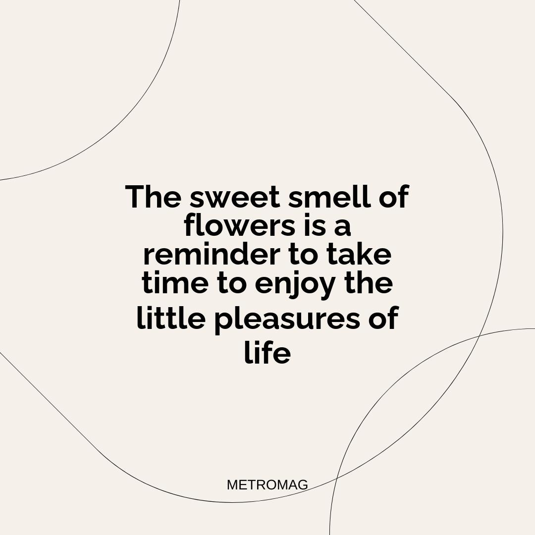The sweet smell of flowers is a reminder to take time to enjoy the little pleasures of life
