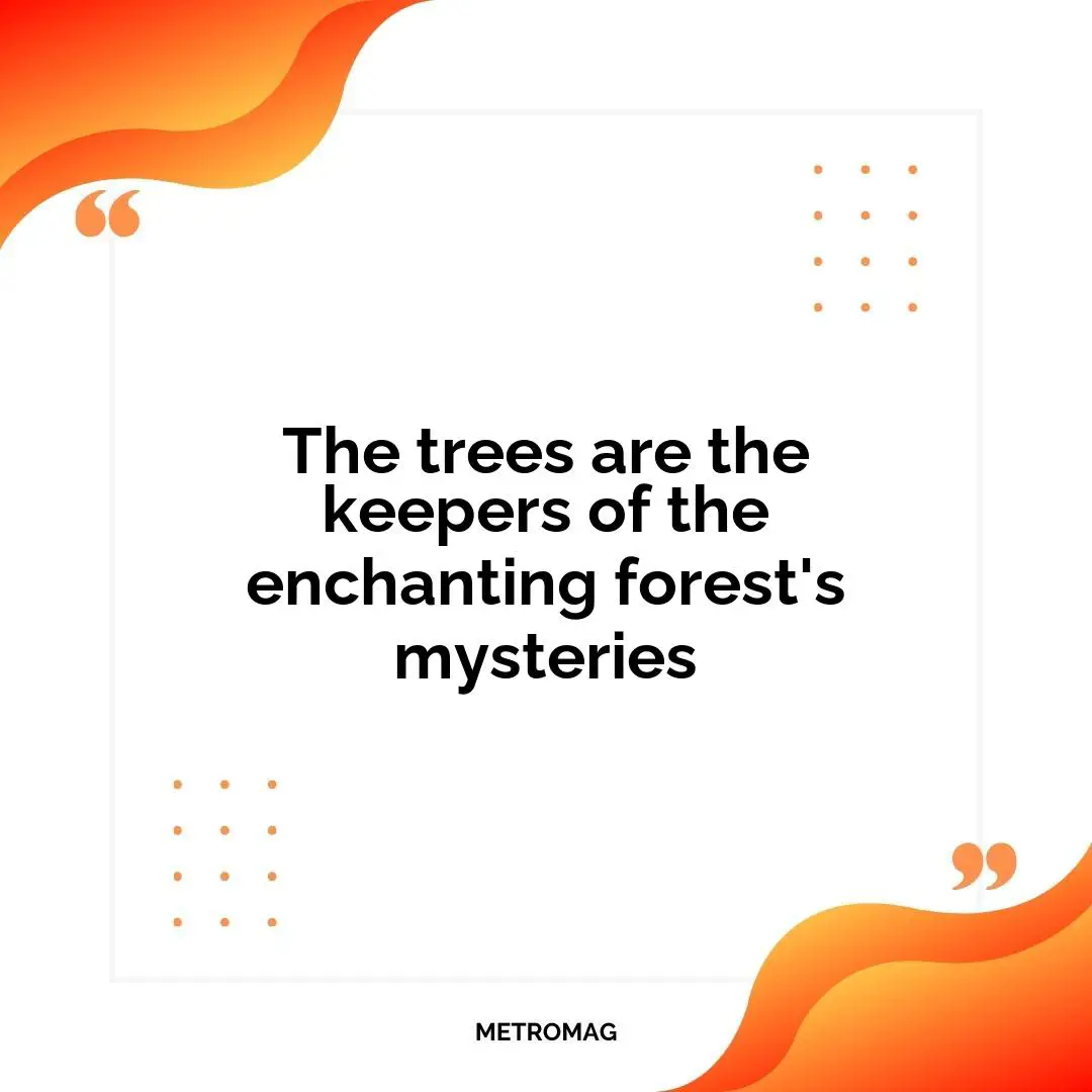 The trees are the keepers of the enchanting forest's mysteries