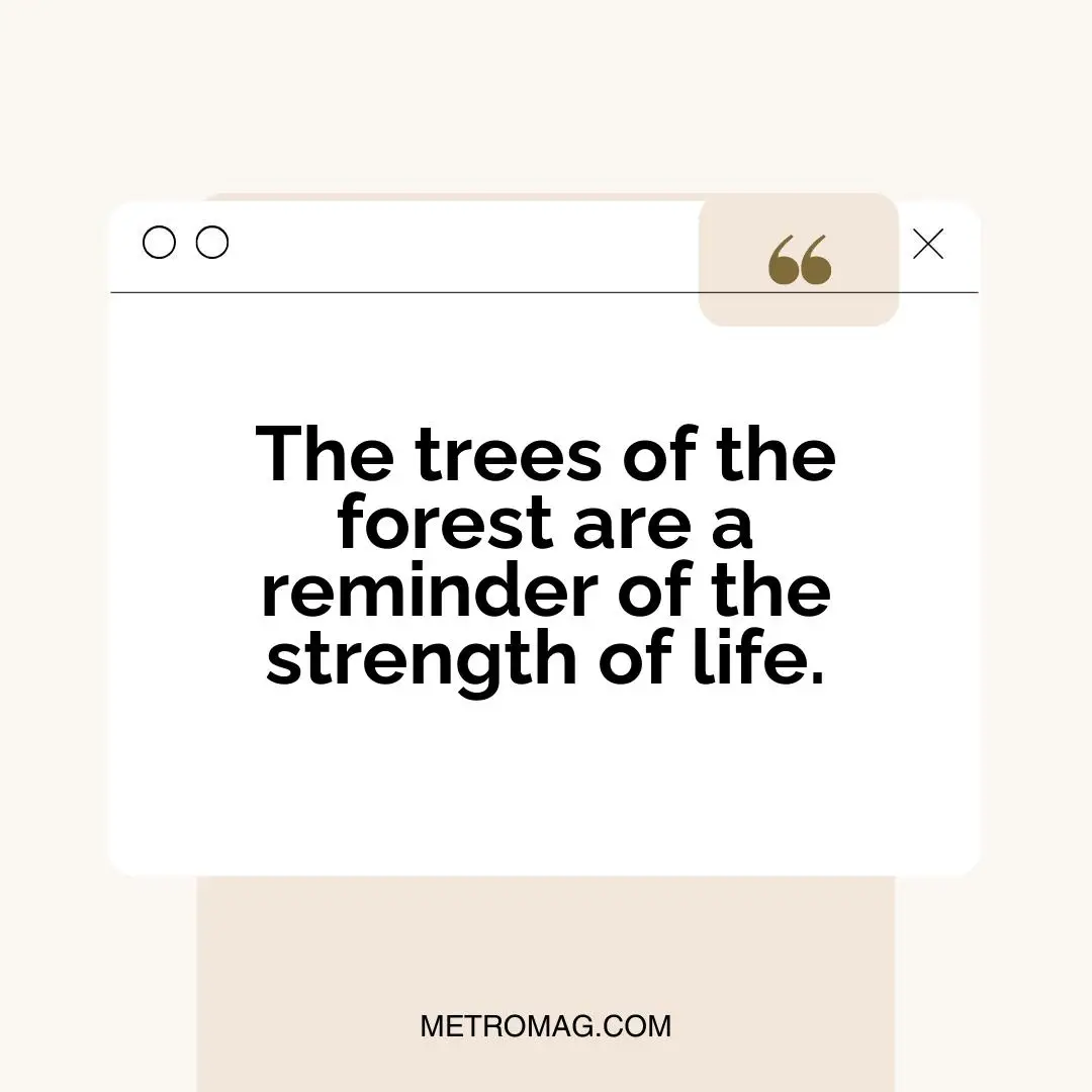 The trees of the forest are a reminder of the strength of life.