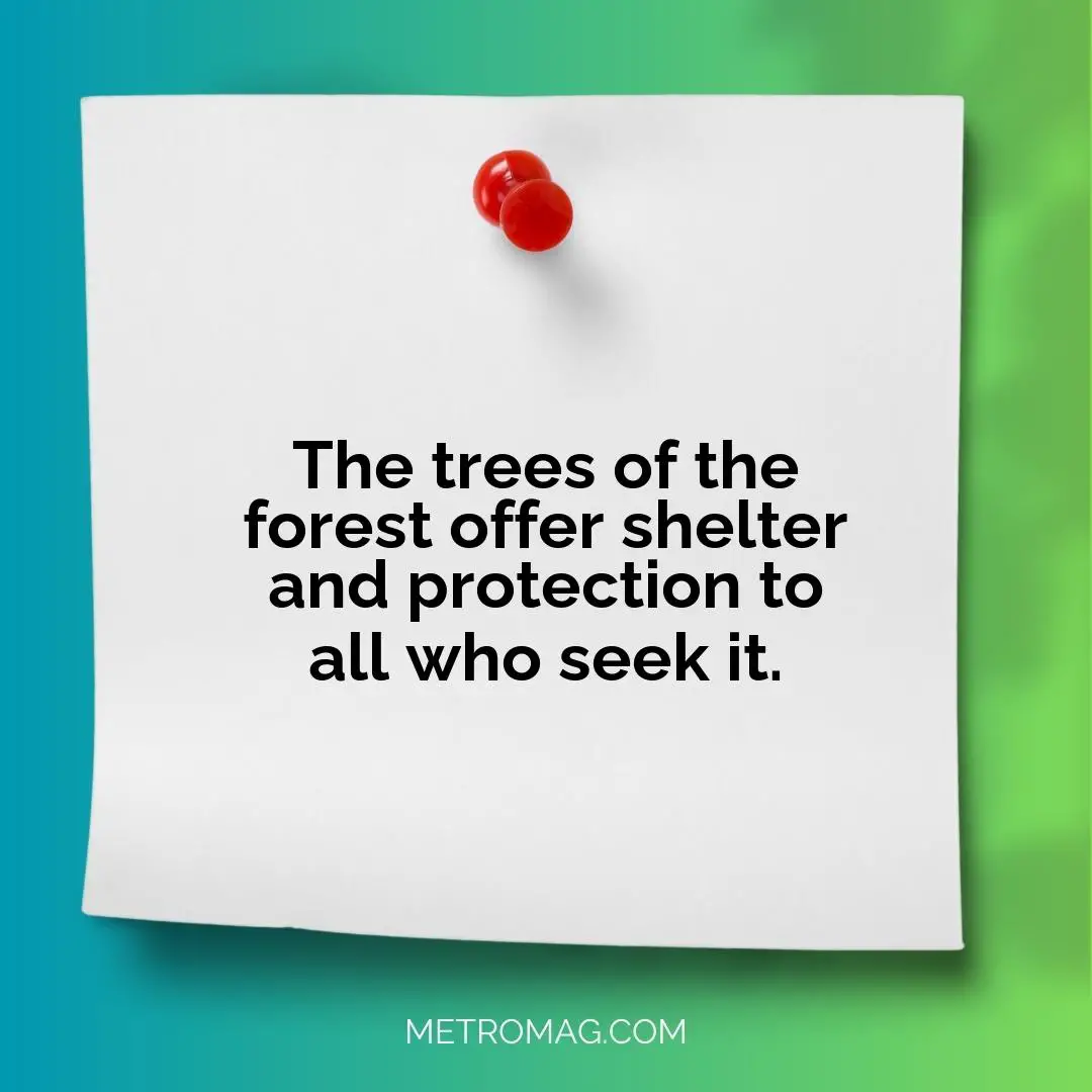 The trees of the forest offer shelter and protection to all who seek it.