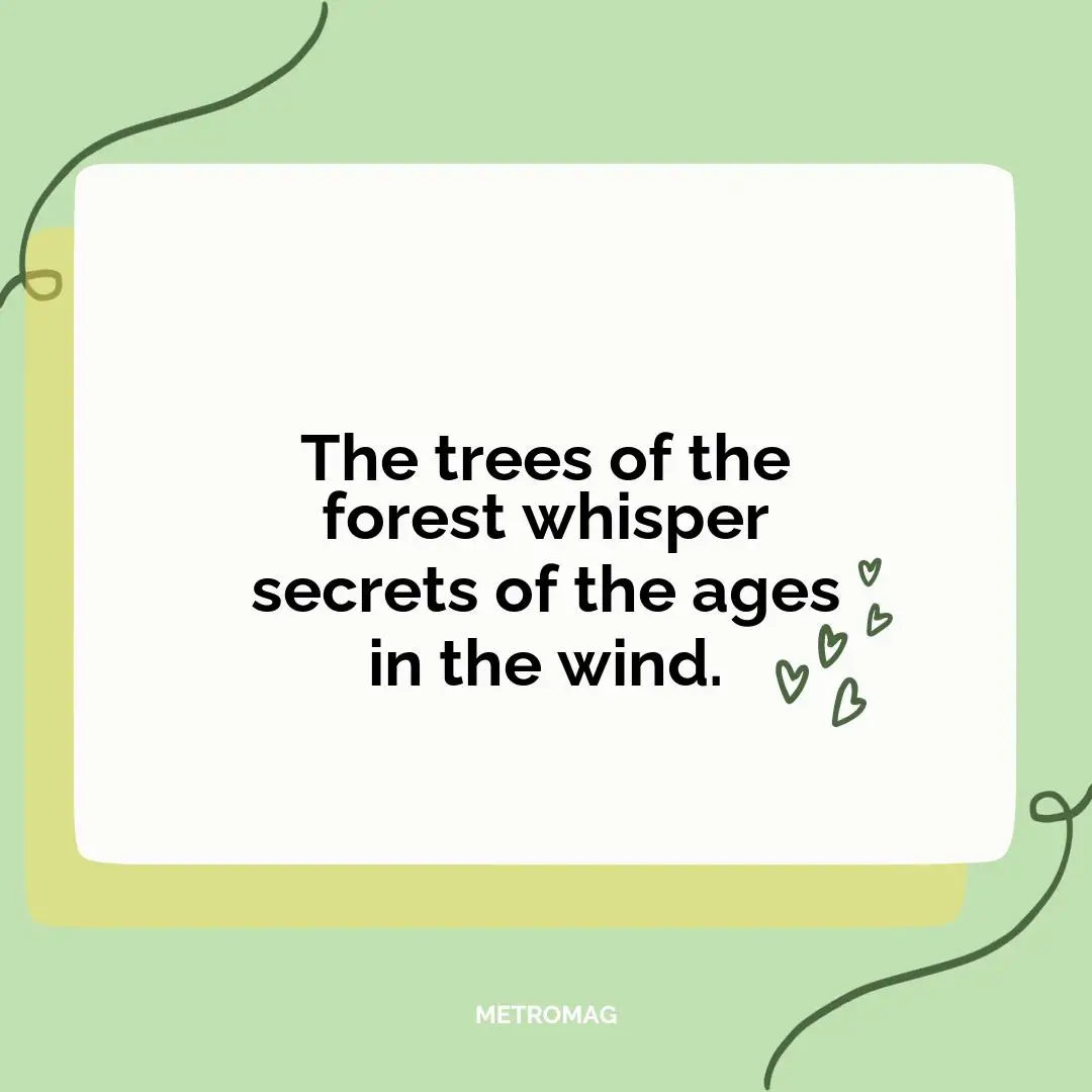 The trees of the forest whisper secrets of the ages in the wind.