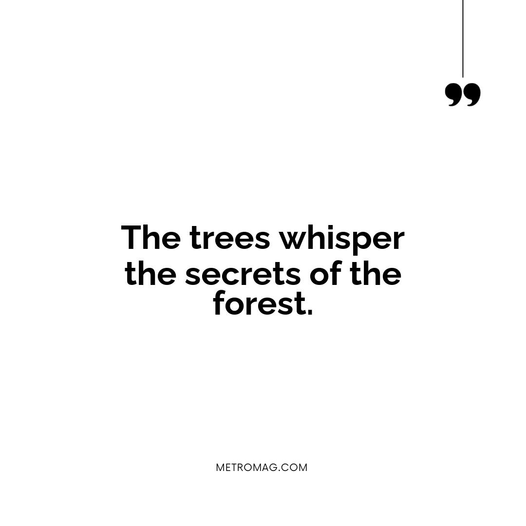 The trees whisper the secrets of the forest.