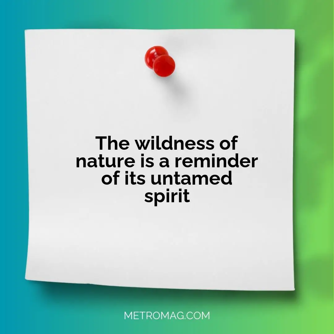 The wildness of nature is a reminder of its untamed spirit