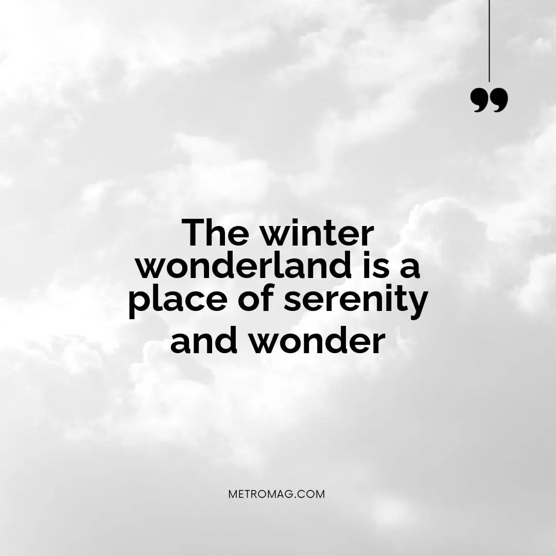 The winter wonderland is a place of serenity and wonder
