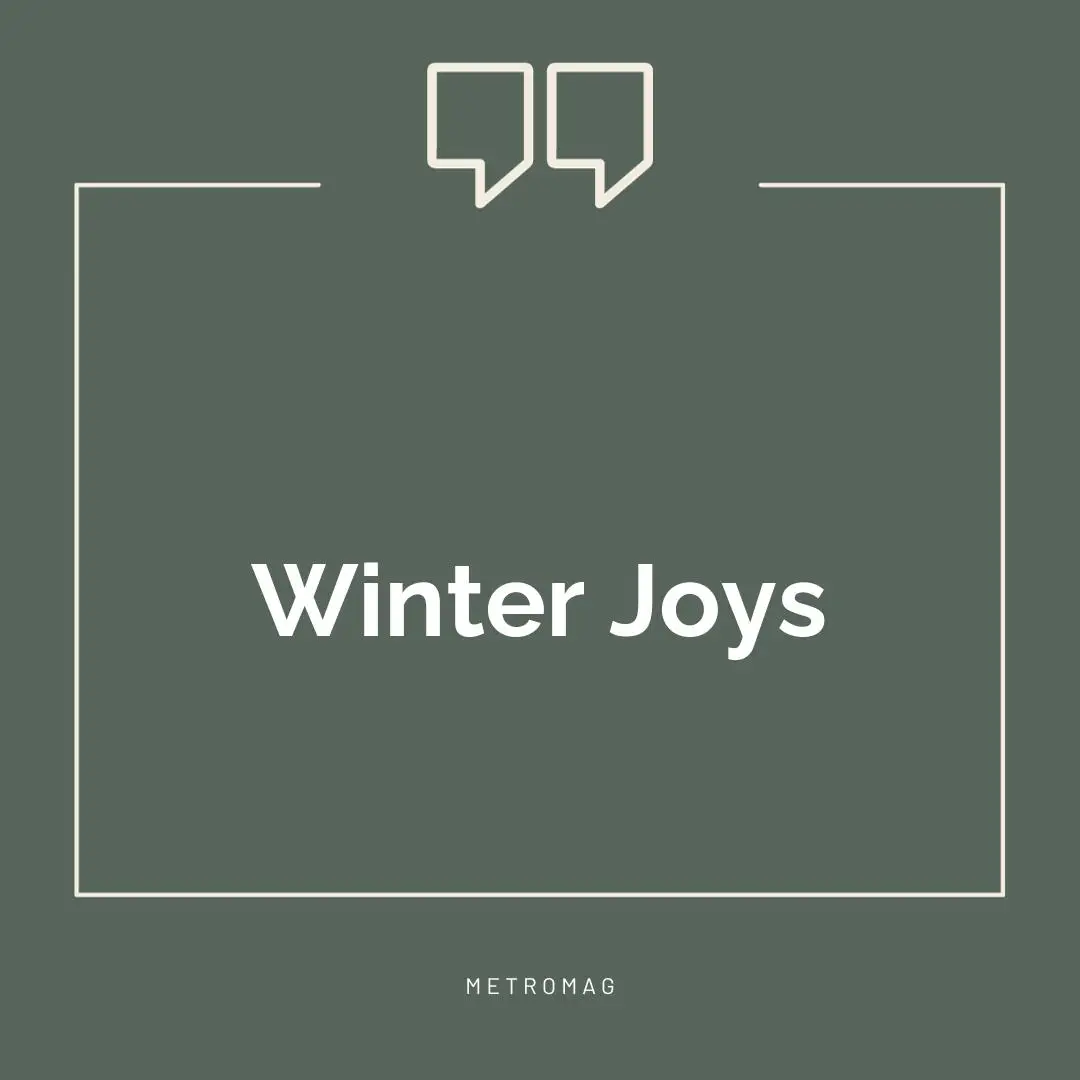 Winter Joys