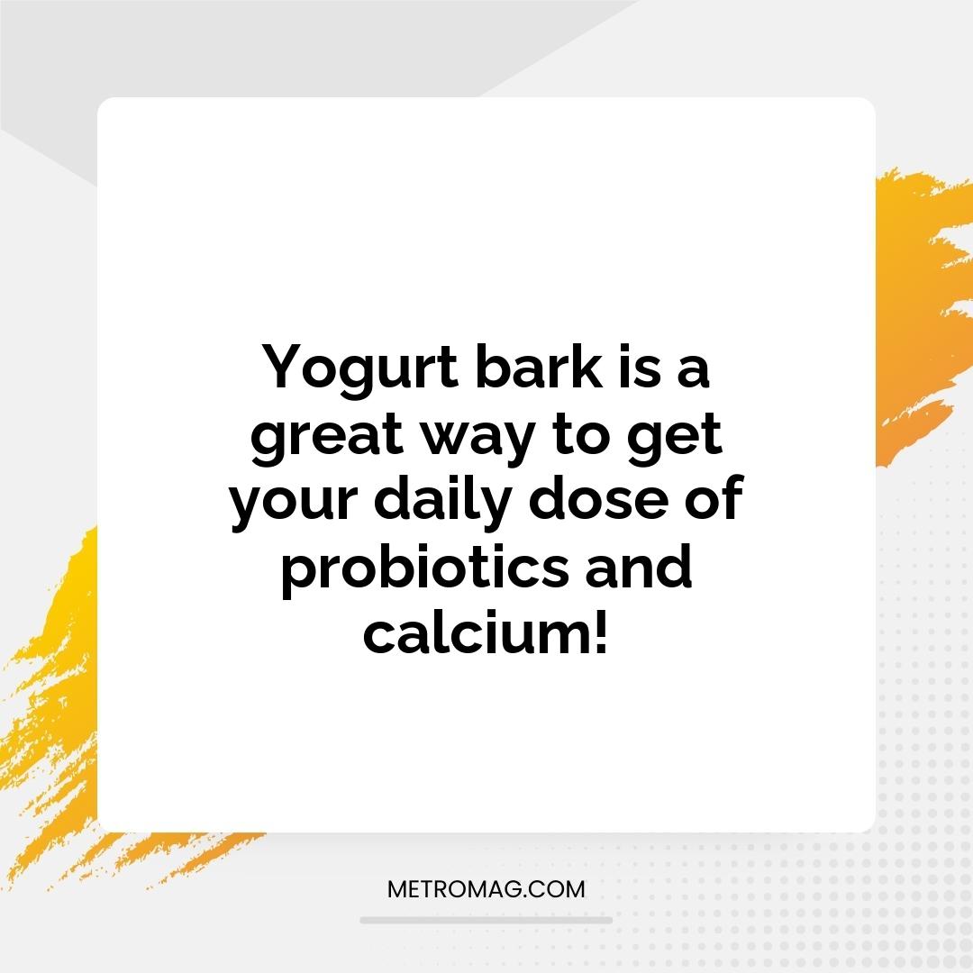 Yogurt bark is a great way to get your daily dose of probiotics and calcium!
