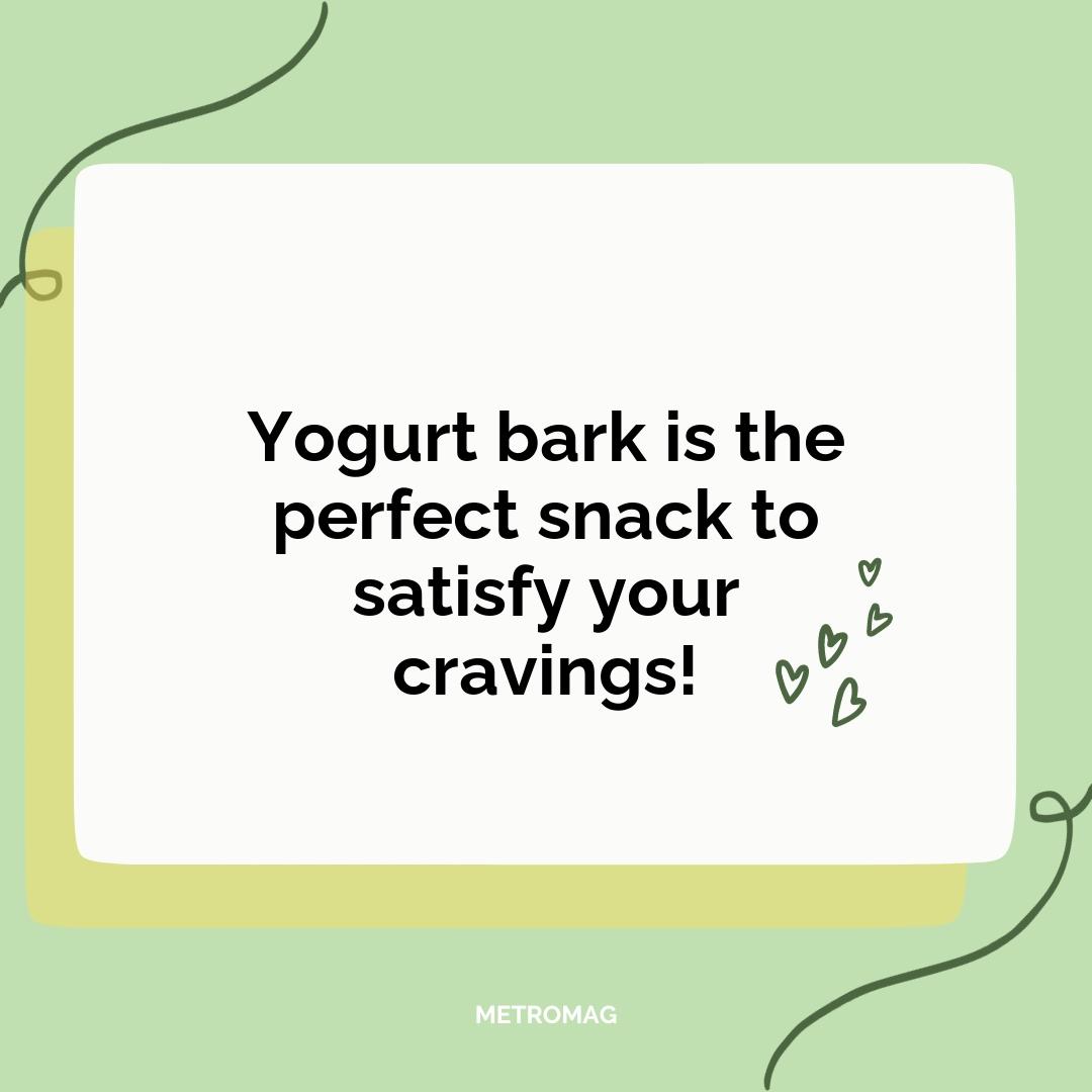 Yogurt bark is the perfect snack to satisfy your cravings!