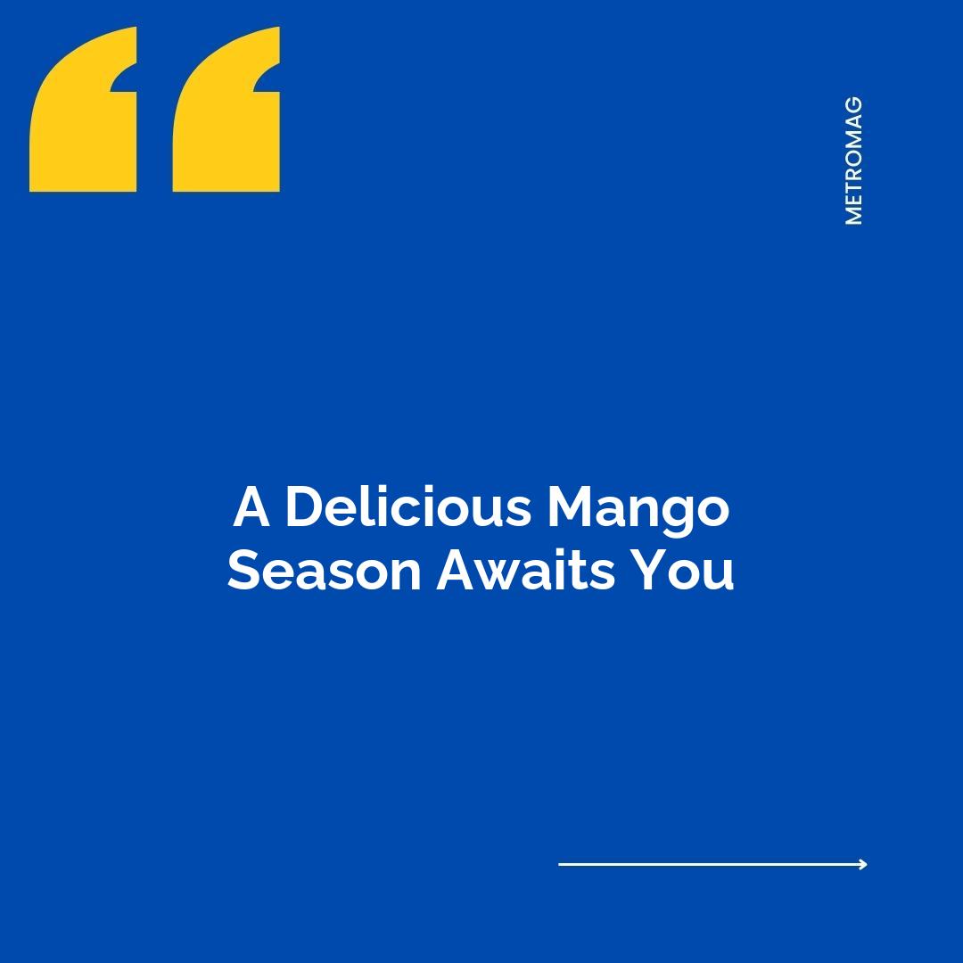 A Delicious Mango Season Awaits You