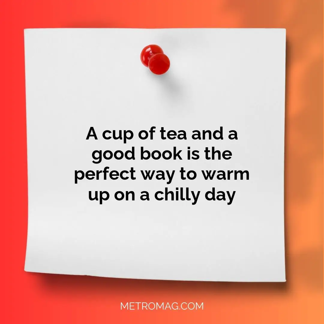 A cup of tea and a good book is the perfect way to warm up on a chilly day