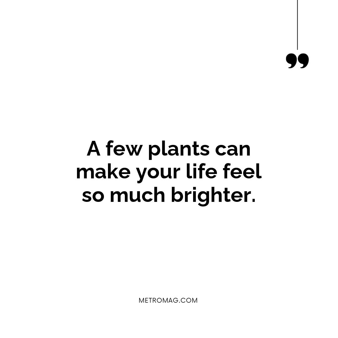 A few plants can make your life feel so much brighter.